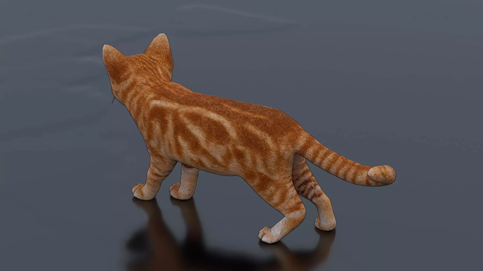 Little Ginger Tabby Cat Low-poly 3D model_1