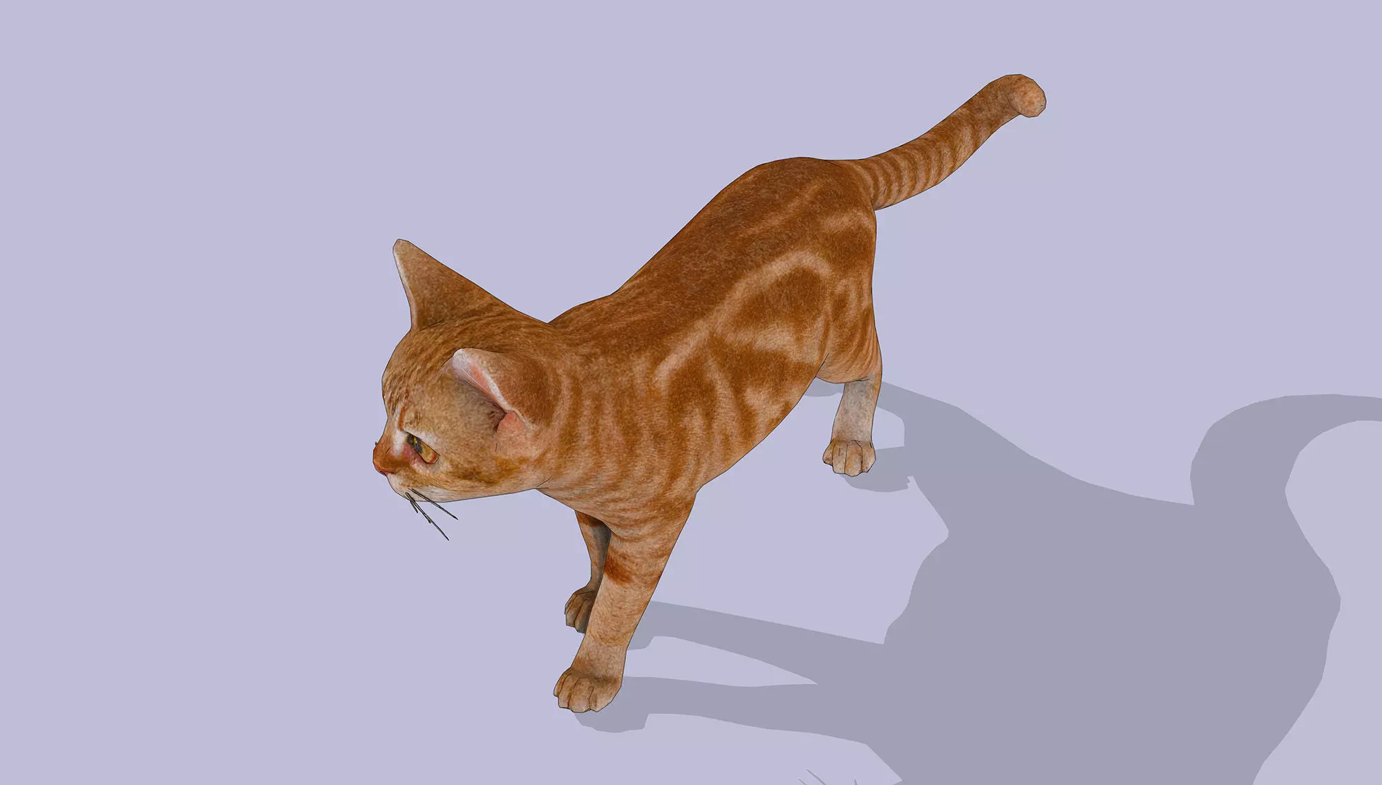 Little Ginger Tabby Cat Low-poly 3D model_5