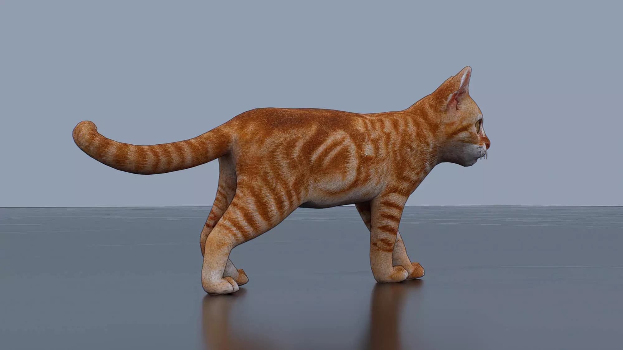 Little Ginger Tabby Cat Low-poly 3D model_3