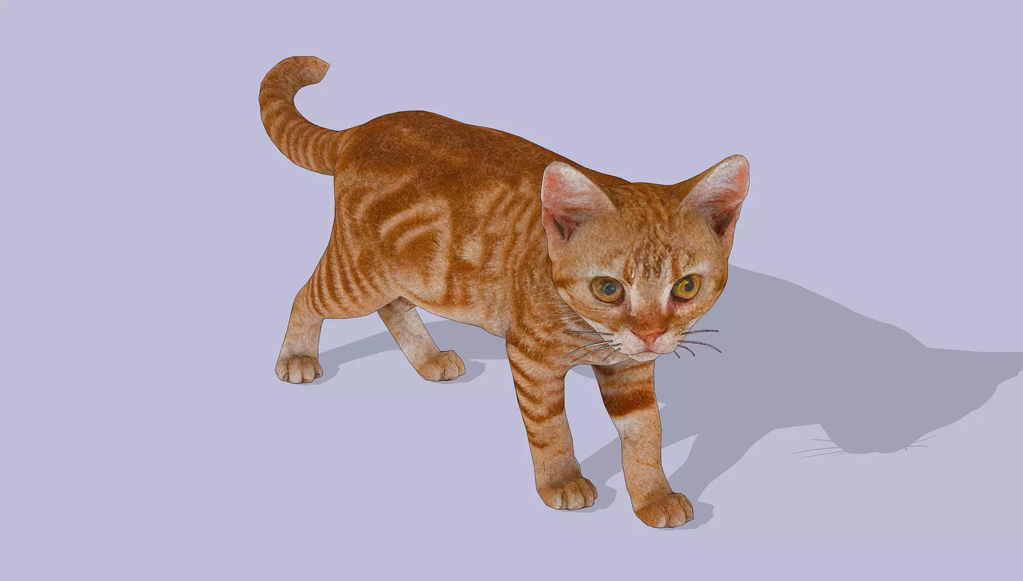 Little Ginger Tabby Cat Low-poly 3D model_4