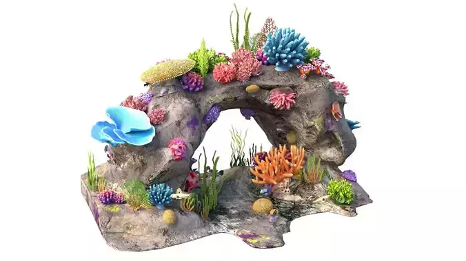 Coral reef rock collection