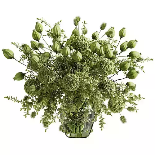 Plants - Shrubs - trees - potted plants