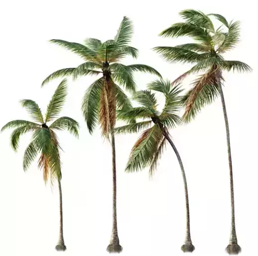 AV 30 unique tree sets with 100 different trees species 3D Model Collection_24