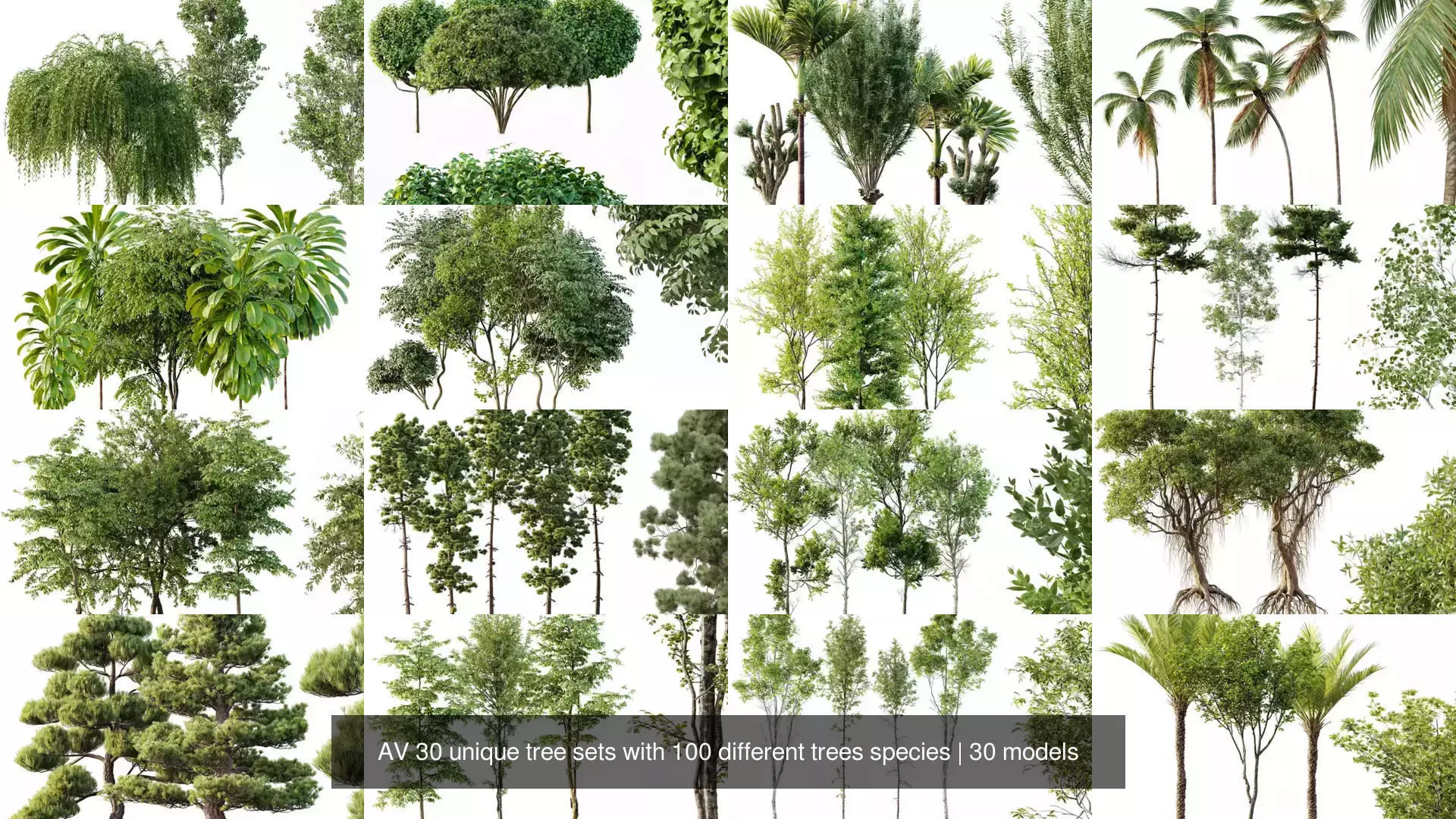 AV 30 unique tree sets with 100 different trees species 3D Model Collection_1