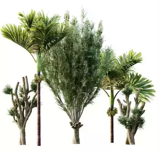 AV 30 unique tree sets with 100 different trees species 3D Model Collection_30