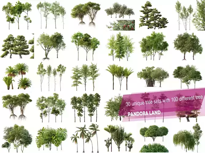 AV 30 unique tree sets with 100 different trees species