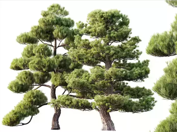 AV 30 unique tree sets with 100 different trees species 3D Model Collection_7
