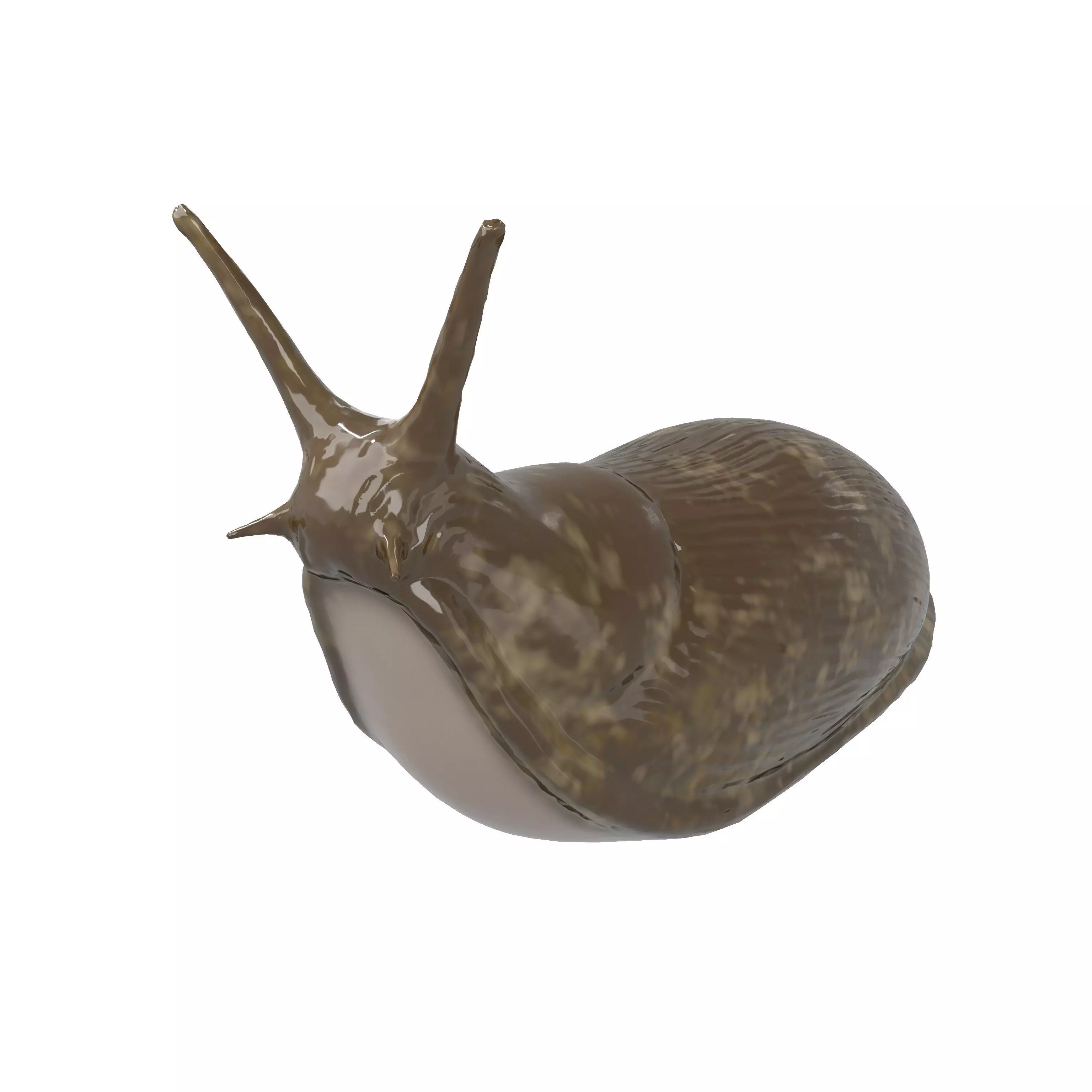 Cartoon Slug Character v1 001 Low-poly 3D model_0