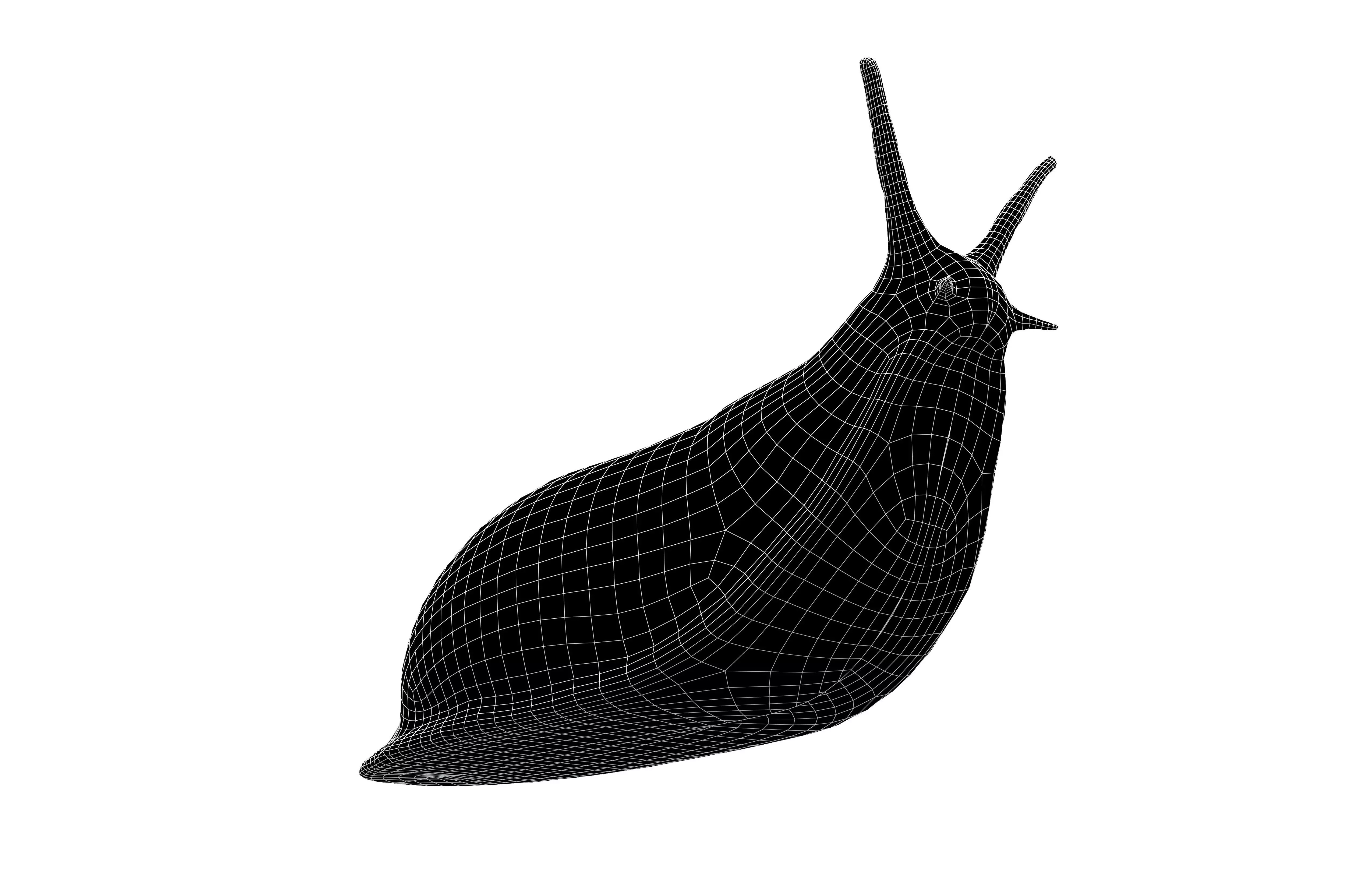 Cartoon Slug Character v1 001 Low-poly 3D model_7