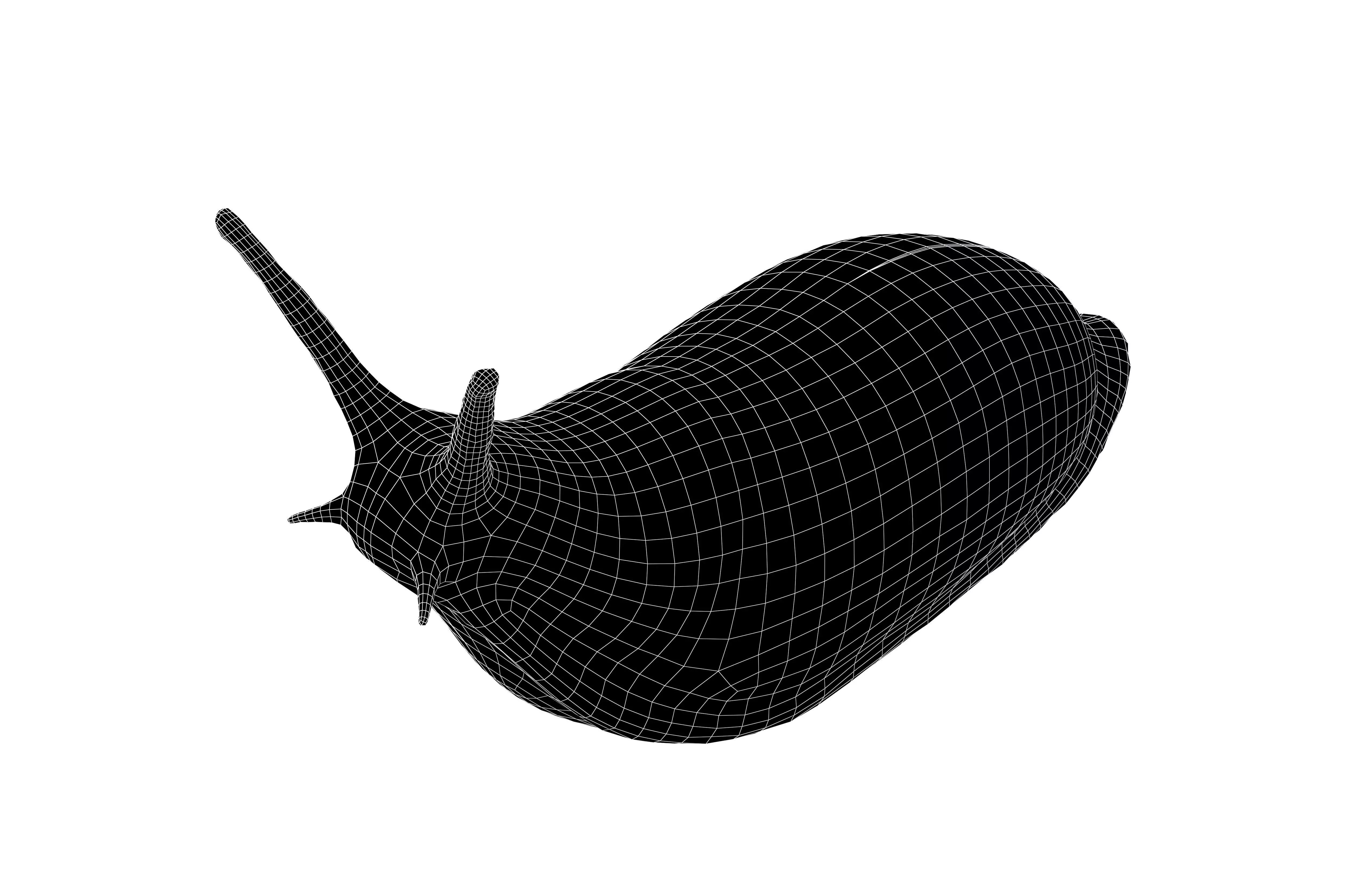 Cartoon Slug Character v1 001 Low-poly 3D model_6
