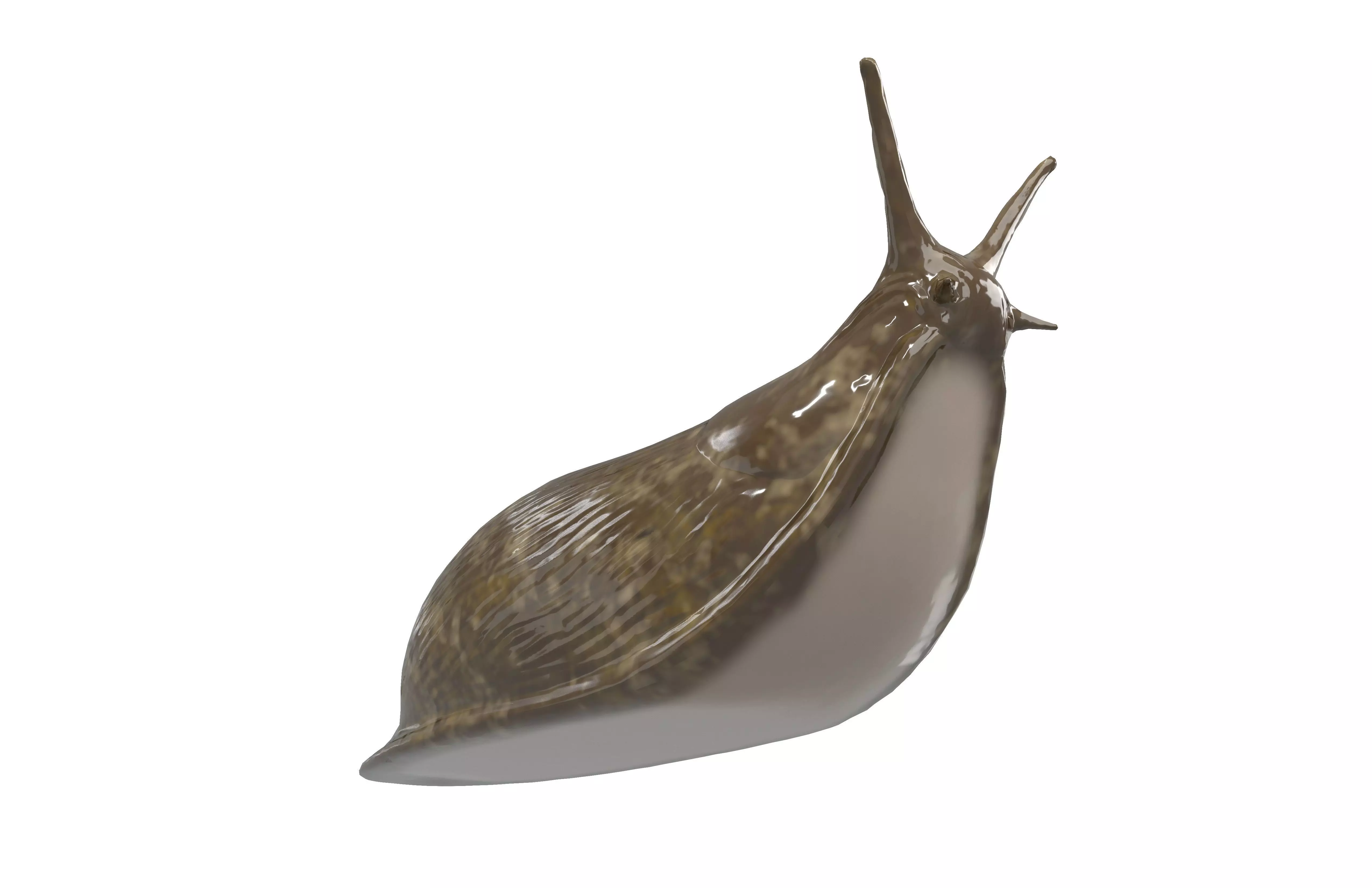 Cartoon Slug Character v1 001 Low-poly 3D model_1