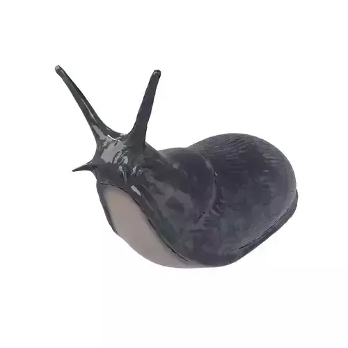 Cartoon Slug Character v1 002