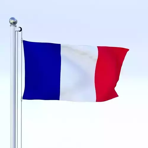 Animated France Flag Low-poly 3D model