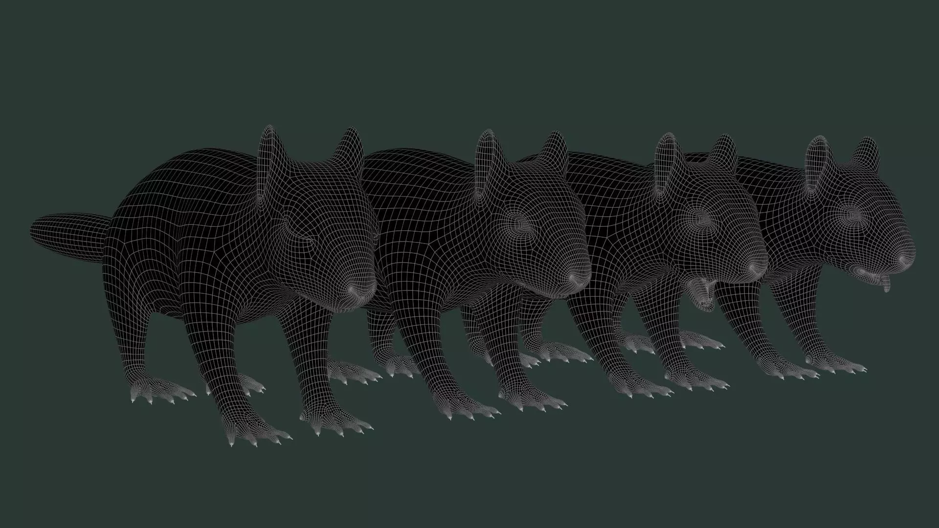 Gray Squirrel Xgen 3D model_16
