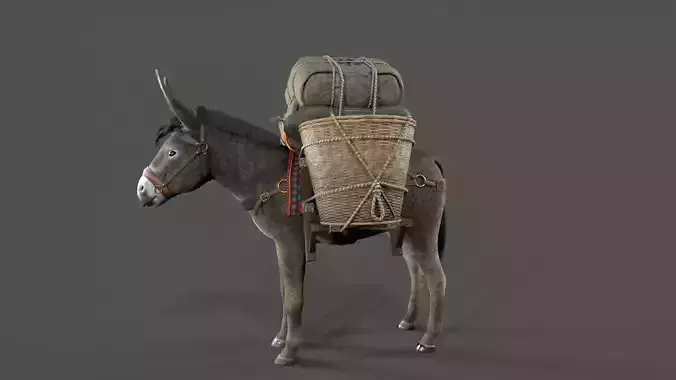 donkey