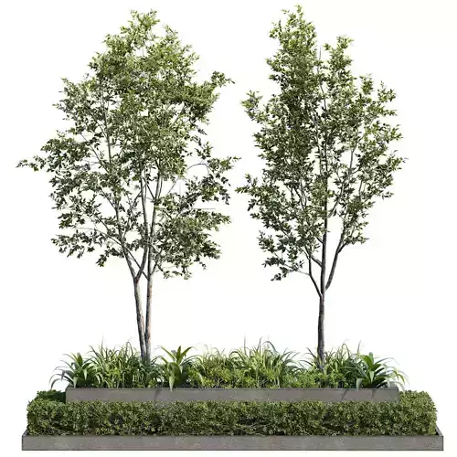 Outdoor Plant 26