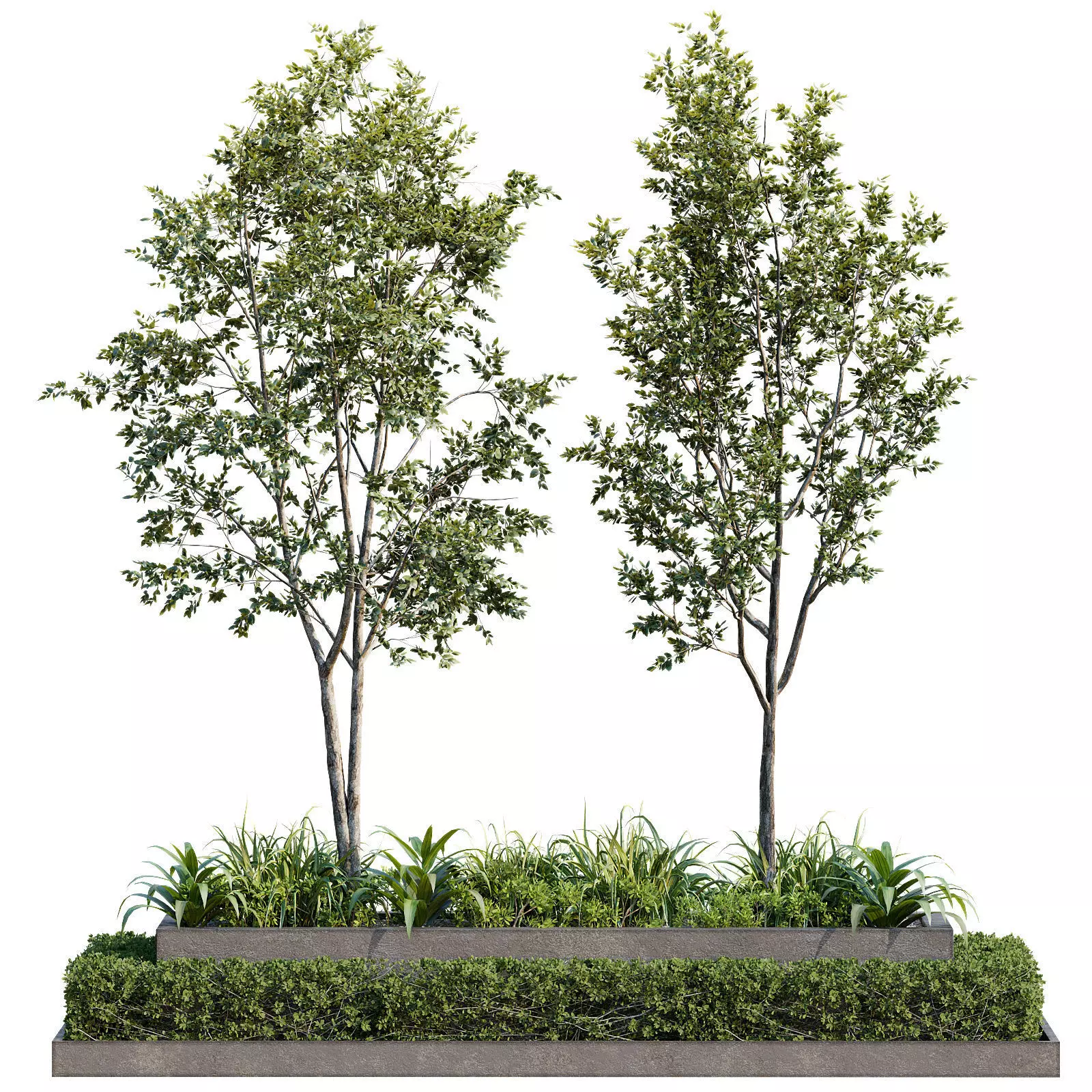 Outdoor Plant 26 3D model