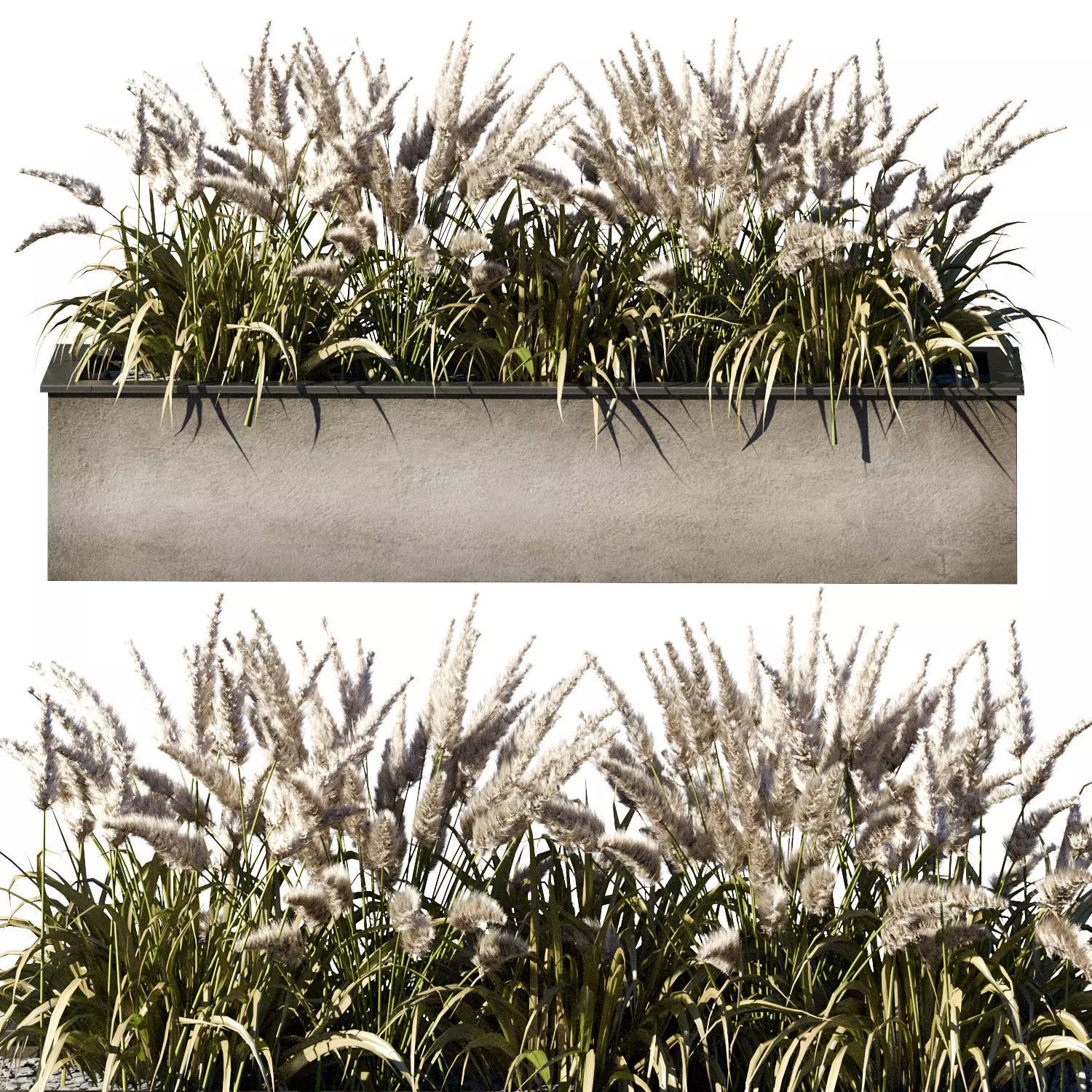 Outdoor Plant 23 3D model