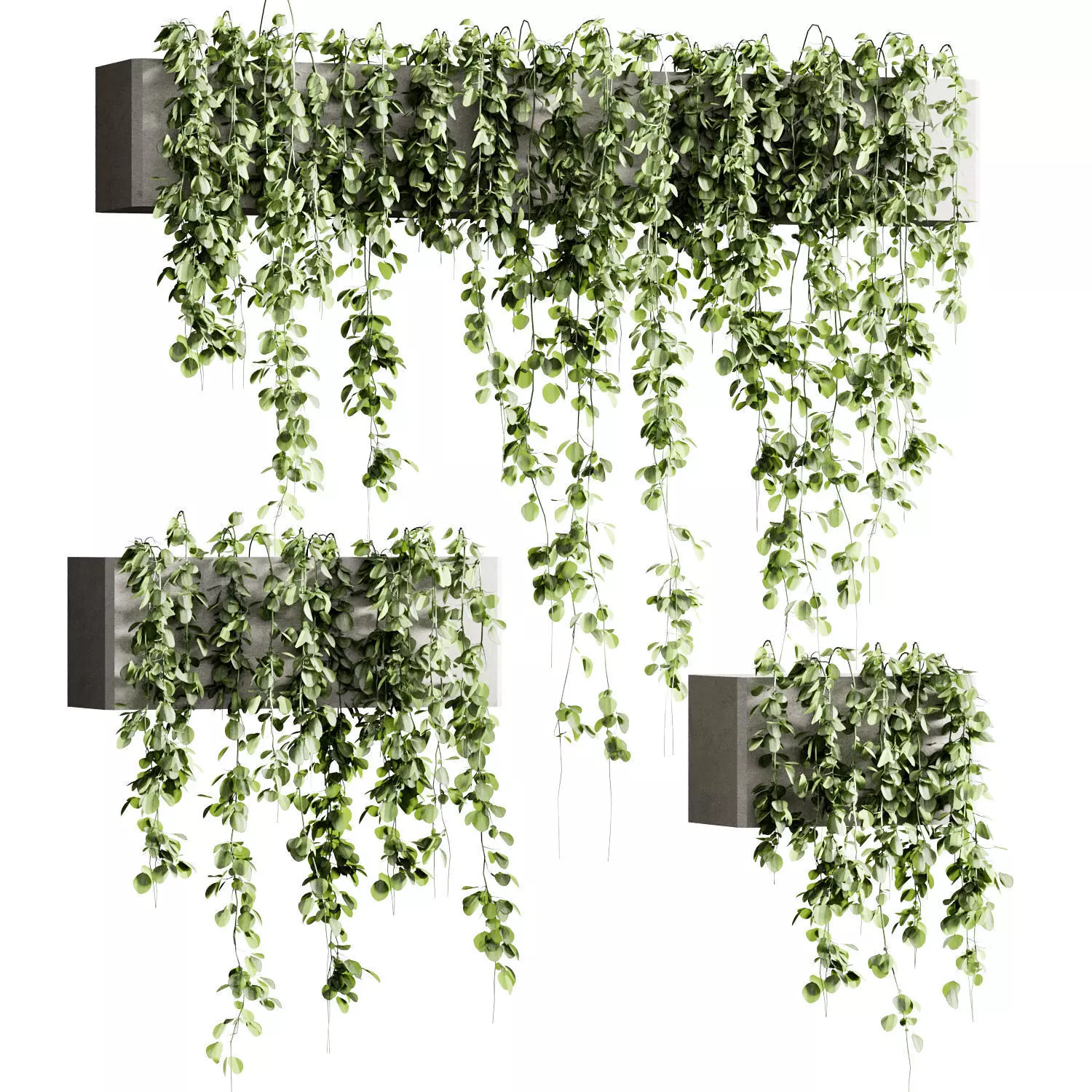 Outdoor Plant 22 3D model