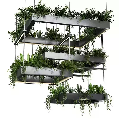 Indoor plant Hanging plants in metal box set24