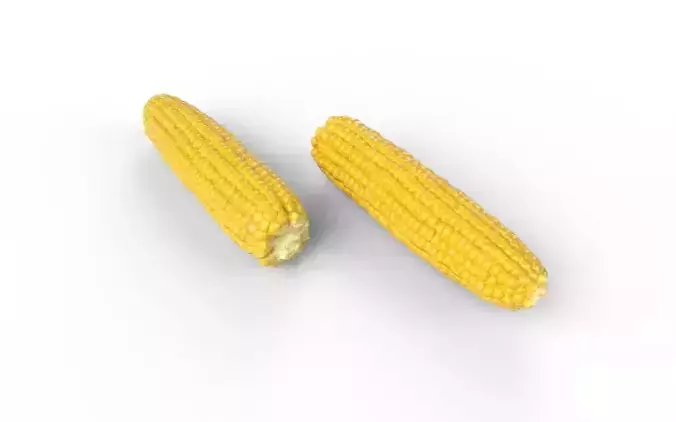 Corn  M02