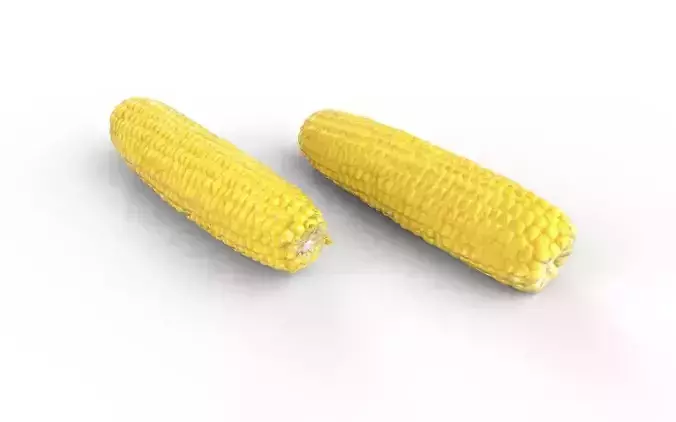 Corn  M03 Low-poly 3D model 6