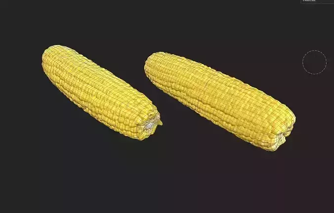 Corn  M03 Low-poly 3D model 7