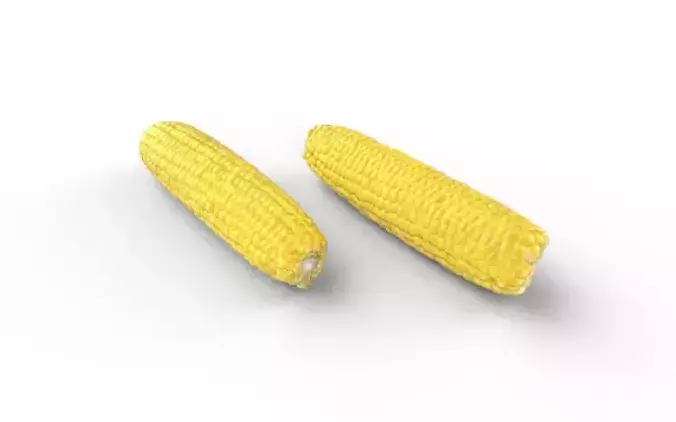 Corn  M03 Low-poly 3D model 4
