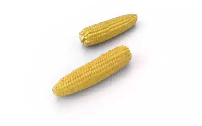 Corn  M04