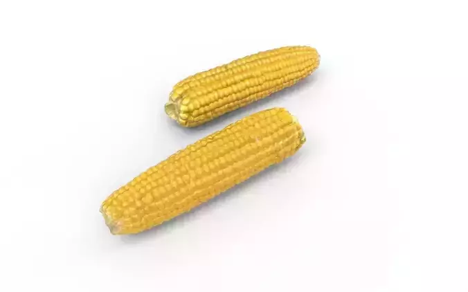 Corn  M05 Low-poly 3D model 6