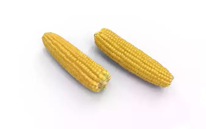 Corn  M05 Low-poly 3D model 5