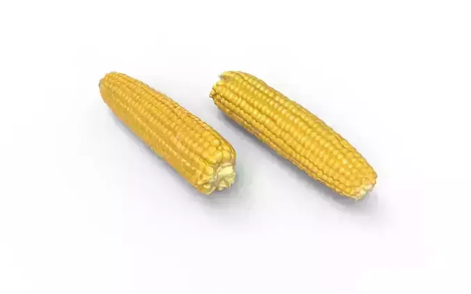 Corn  M05