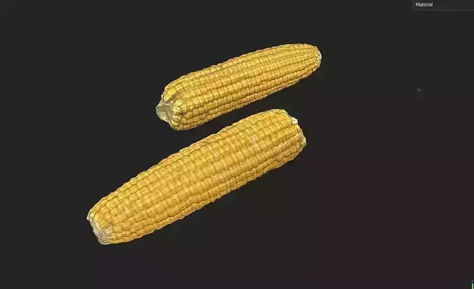Corn  M05 Low-poly 3D model 7