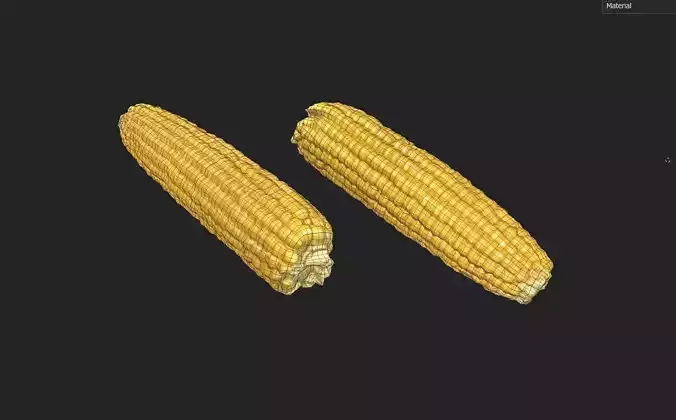 Corn  M05 Low-poly 3D model 2