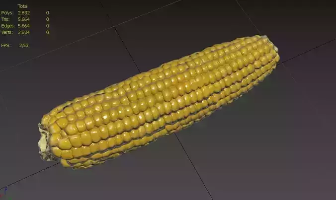Corn  M05 Low-poly 3D model 3