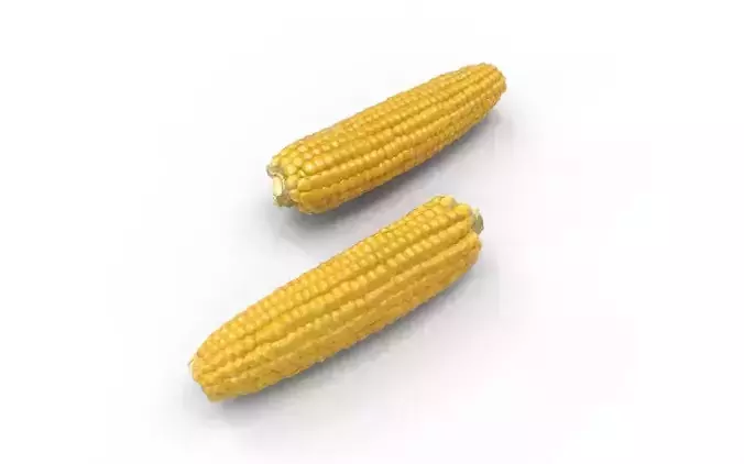 Corn  M05 Low-poly 3D model 4