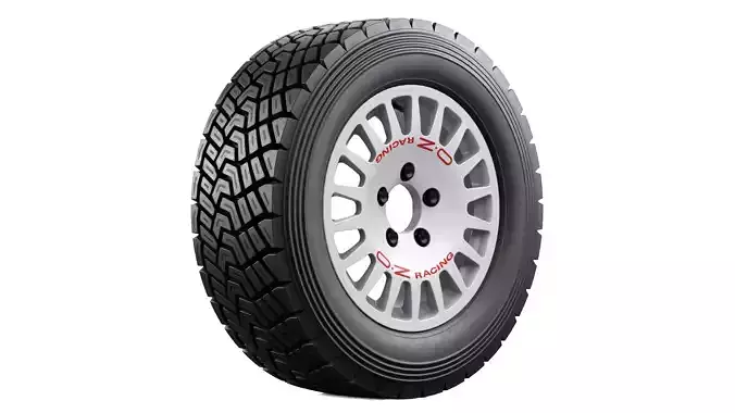 OZ Racing Rally Wheel 1