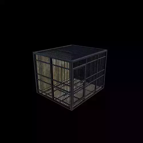 prison cage