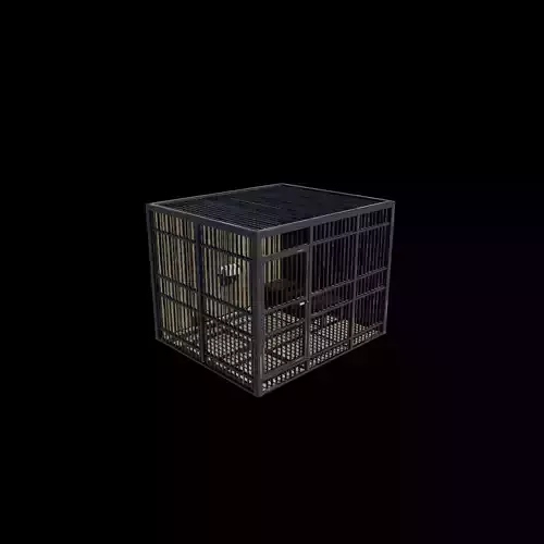 prison cage 02