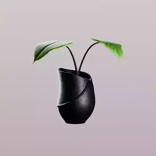 Curved Black Vase