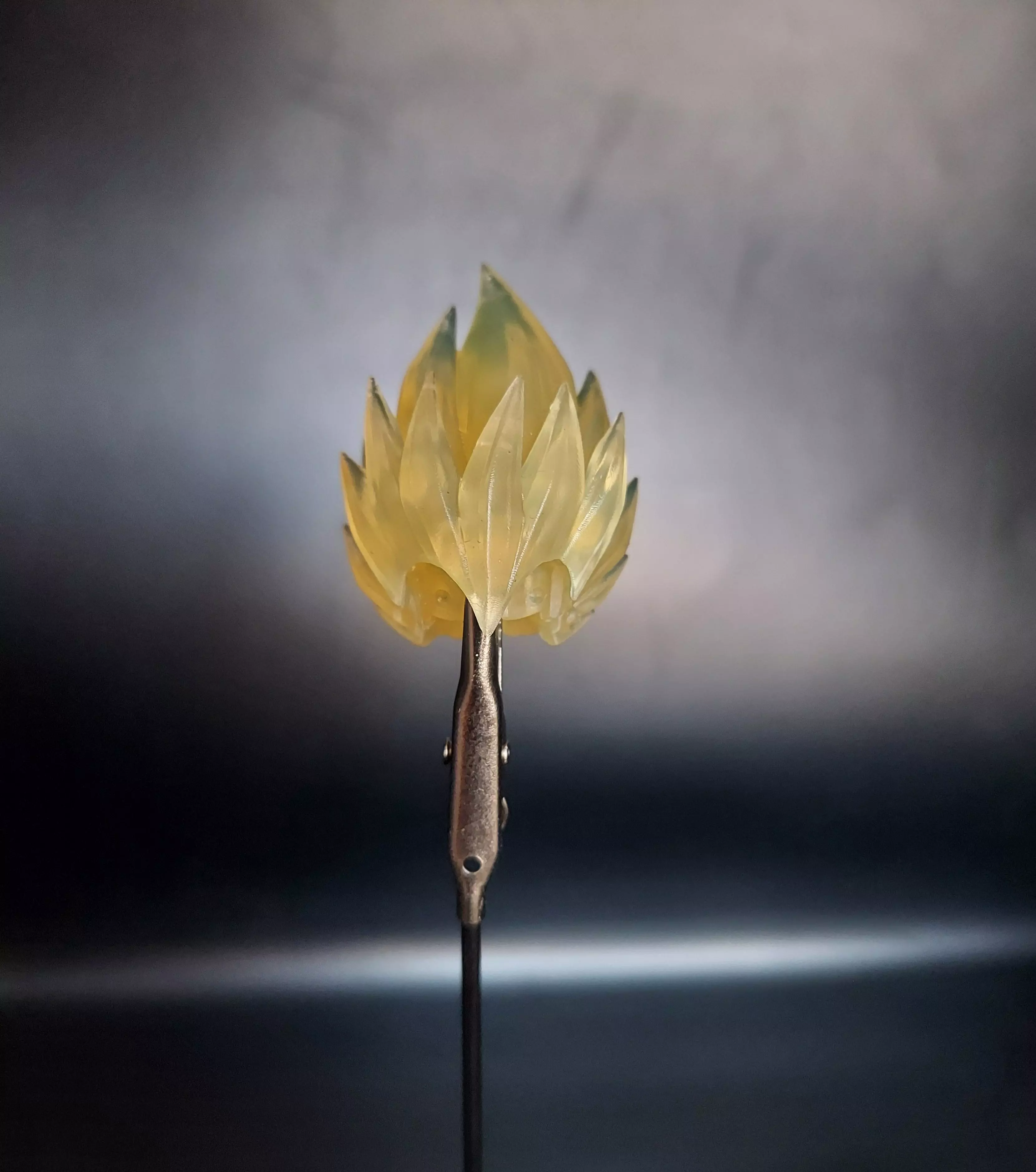 Custom Beast Deities Vegeta Head Sculp Scan 3D print model_2