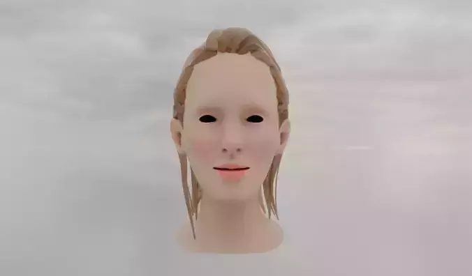 Low-poly Head