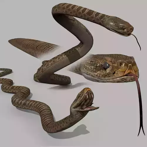 Pro Rattlesnake Snake - 8k - 3d animated 
