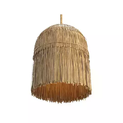 Lamp Long fringes