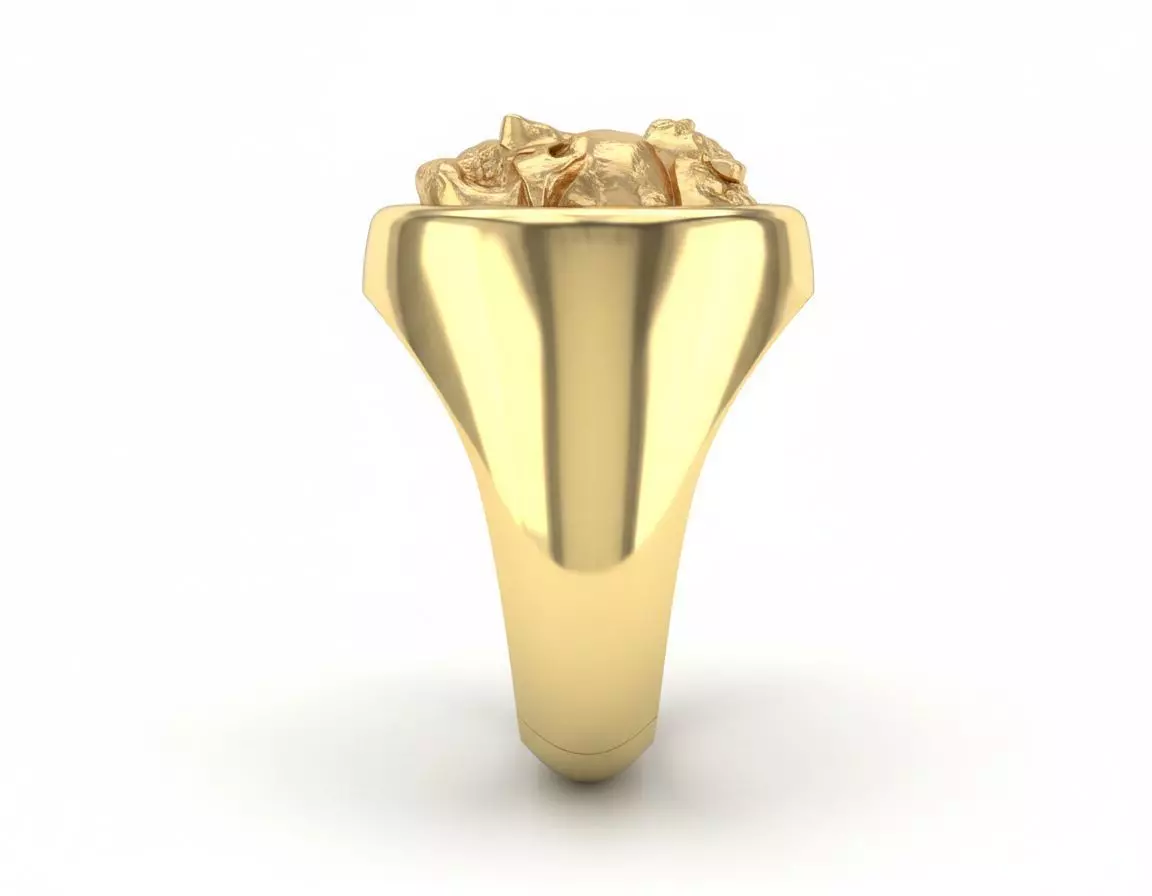 Marcus Aurelius ring 3D print model