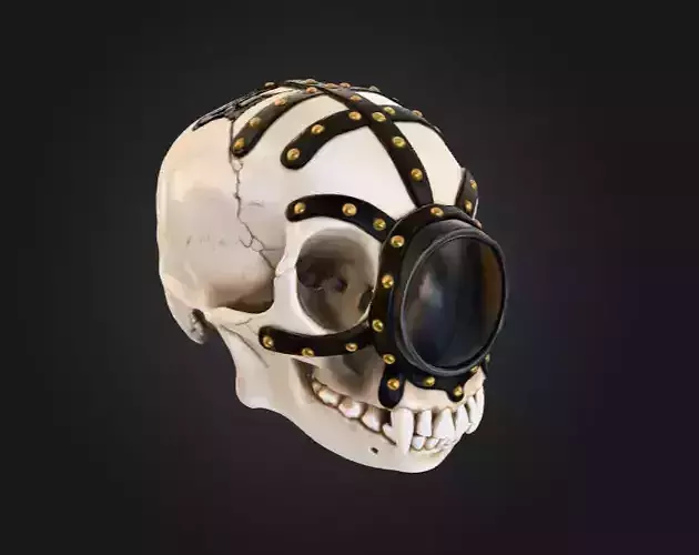 Skull of the Automaton