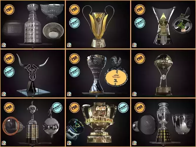 CONMEBOL Trophy Bundle trophies Awards