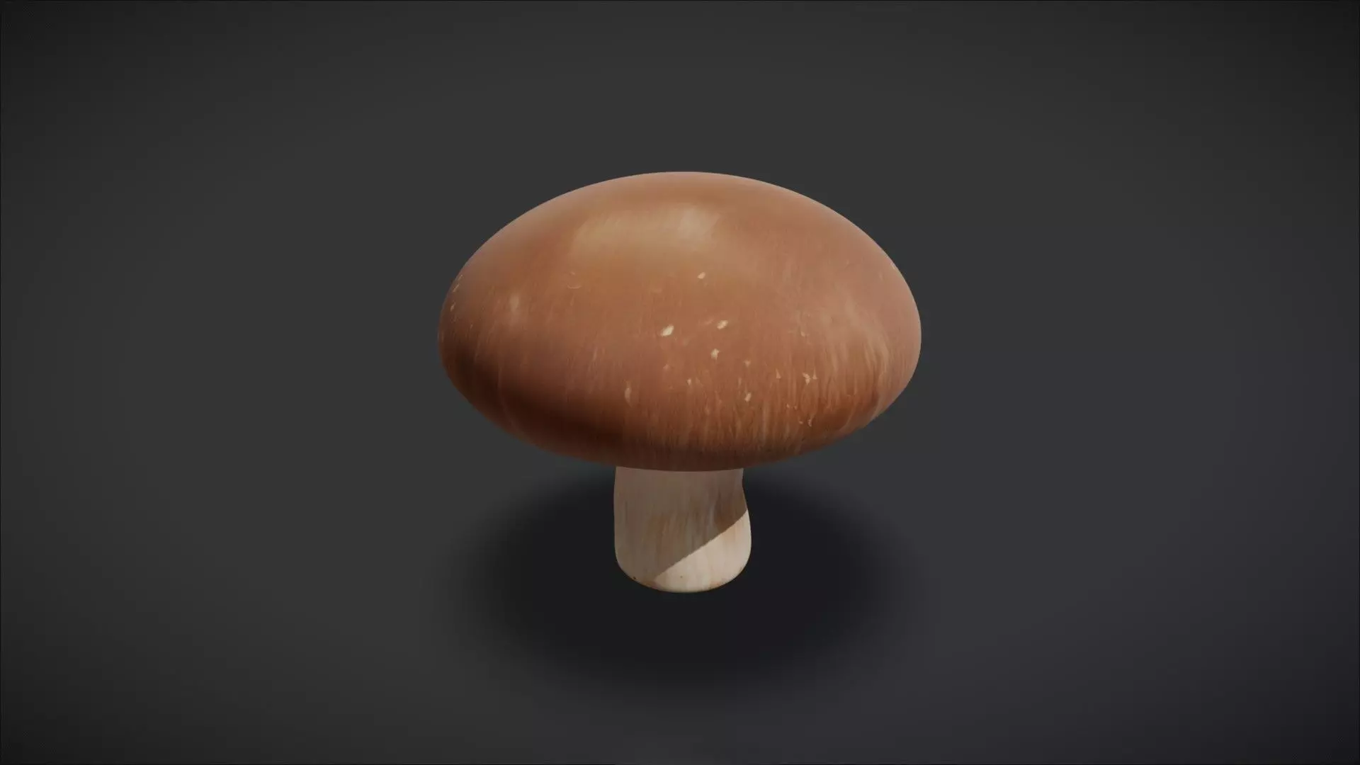 Shiitake Mushroom shiitake mushroom 3D model_0