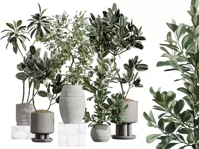 AV Indoor Plants Set 405