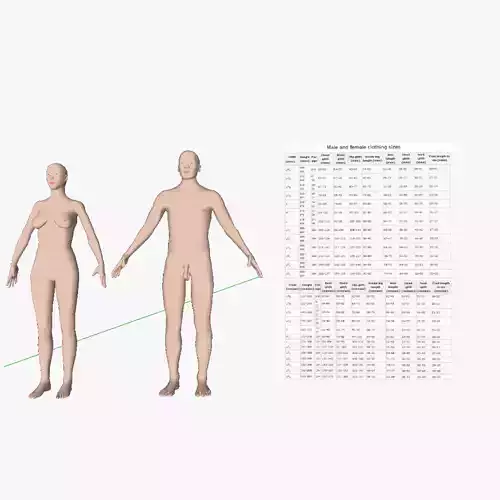 Male and female Homo sapiens